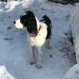 Meet your Posher, Marissa